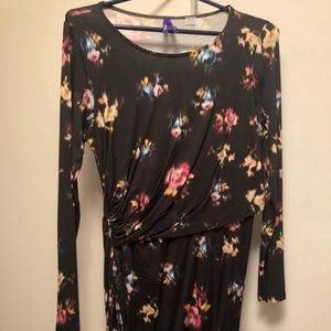 Seraphine Maternity and Nursing Dress